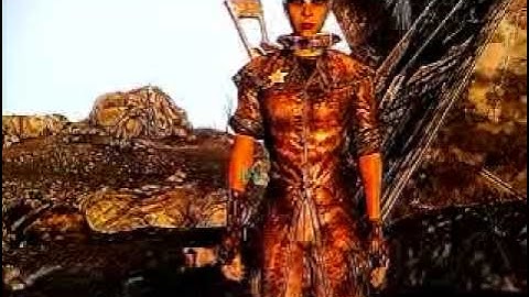 Fallout 3 sheriff clover companion