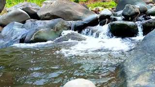 River Rhythms: 1 Hour of Relaxing Nature Sounds