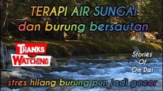 Terapi rileksasi air sungai dan burung bersahutan @stories of om dwi