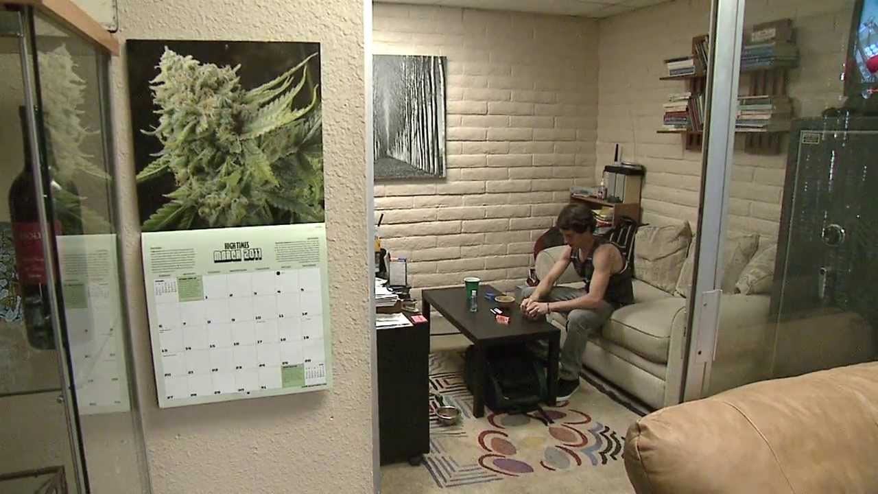 Indoor Marijuana Grows Are On The Rise in San Diego YouTube