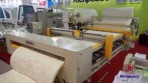 Richpeace Computerized Automatic Quilting Machine Continuous Feeding