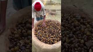 ⚡⚡Snail Shells Making Process⚡⚡#shorts #telugufoodie #esangathulu #streetfood #foodie #omel