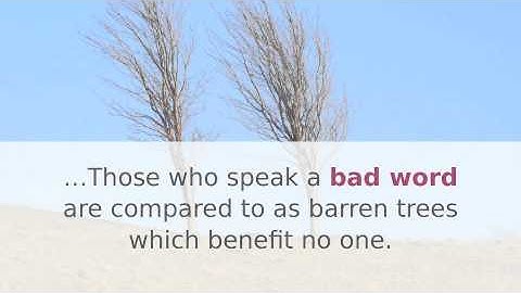 Parables In The Quran - Comparisons Between A Good And A Bad Word