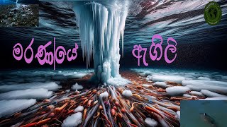 Brinicle - මරණය ඇගල තඩ-Ice Finger Of Deth