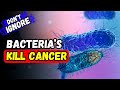 Eat These Foods to Fight Inflammation & Support Cancer Defense