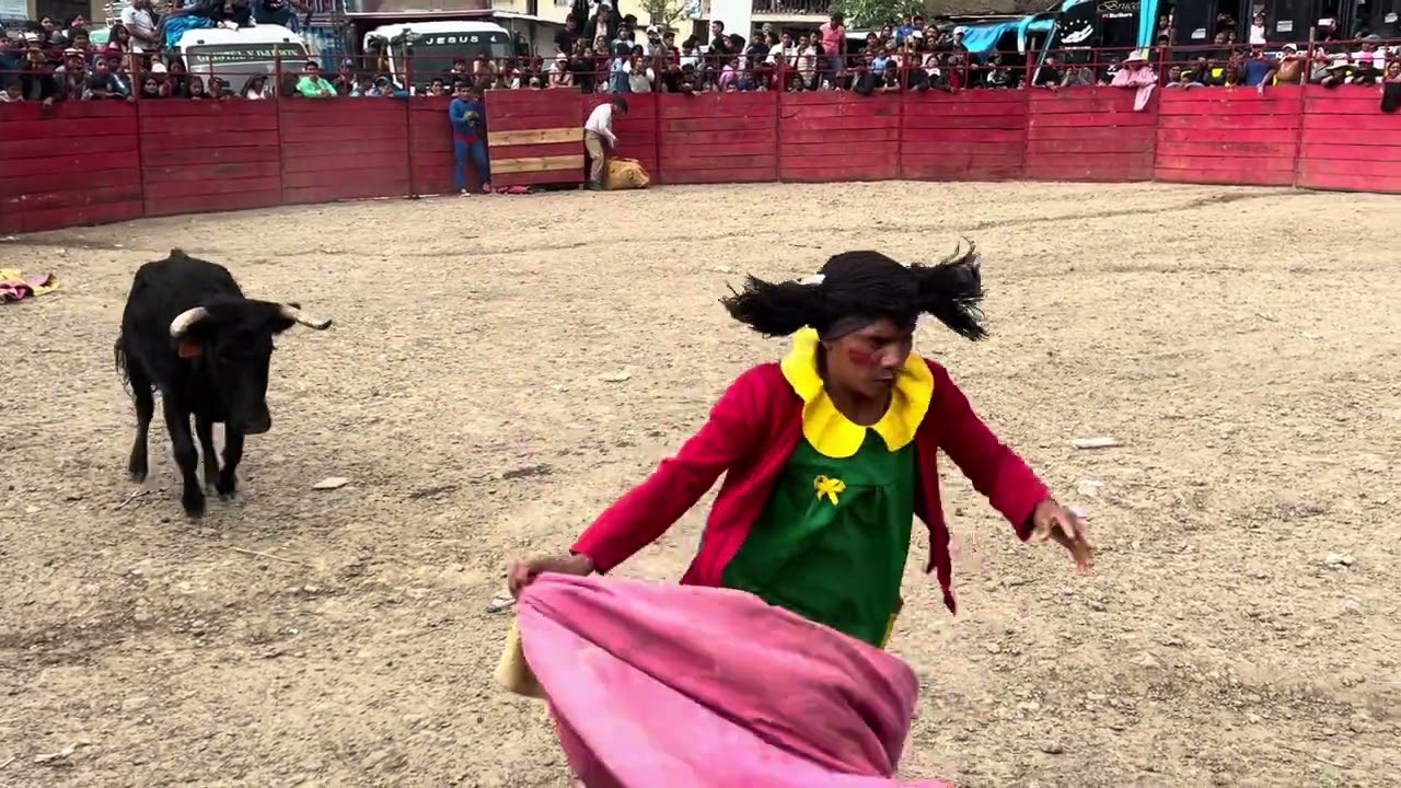 CORRIDA  BUFA  FIESTA PATRONAL EN HONOR AL PATRON SAN FRASISCO DE ASIS -COLPA ..... 2025