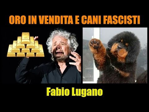 Beppe Grillo e l'ORO; Siria abbattuto aereo russo; il cane fascista di Monza | Fabio Lugano