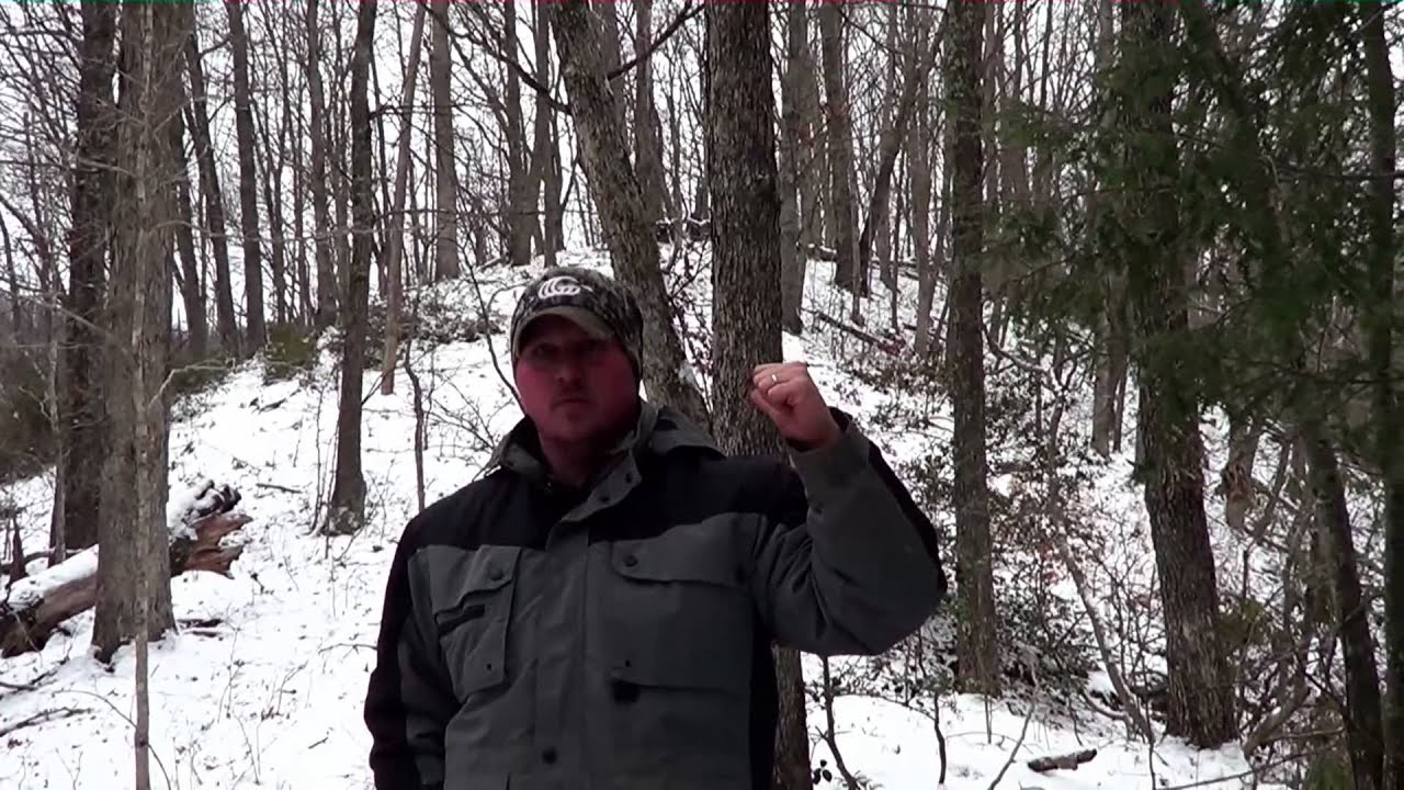Predator Control Part 4 YouTube