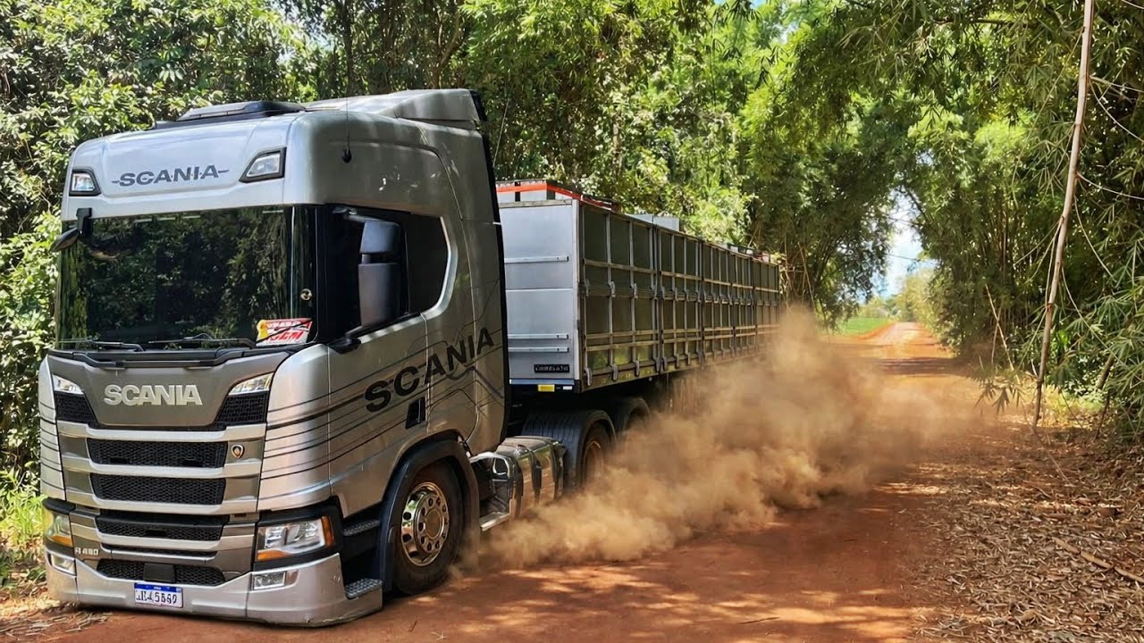 TIVE QUE PEGAR A ESTRADA DE CHÃO PRA CHEGAR NO DESCARREGAMENTO... MODO OFF ROAD ATIVADO!!!