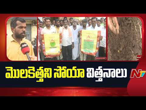 Soya Bean Farmers: ఆదిలాబాద్ జిల్లాలో మొలకెత్తని సోయా విత్తనాలు | Adilabad District | NTV Telugu - NTVTELUGU