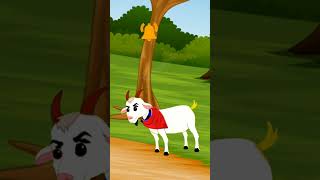 Fruits Banana Apple Anar Mango Funny Fruits Cartoon Harmanstories