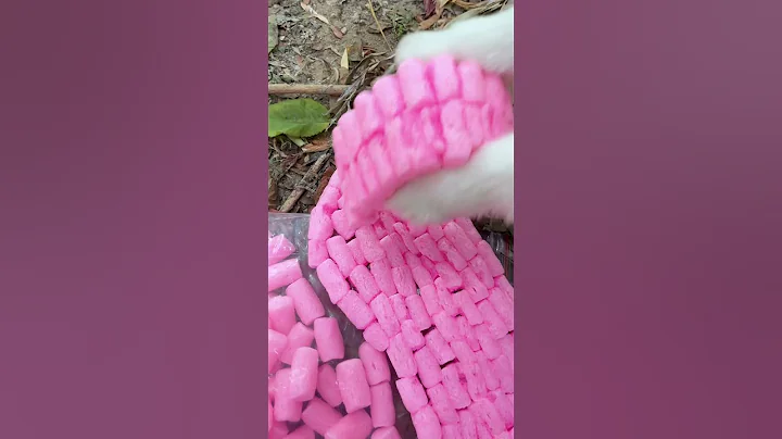 Corn-flavored slippers! #funny #nico #funnydog #dog #funnycute - DayDayNews