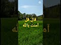 قلت يا رسول الله قل لي قولا في الإسلام لا أسأل عنه أحد غيرك قال قل