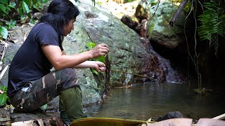 Smoked Chicken, Relaxing Stream Fishing, Bamboo Shoot Harvest: Survival Alone | EP.251