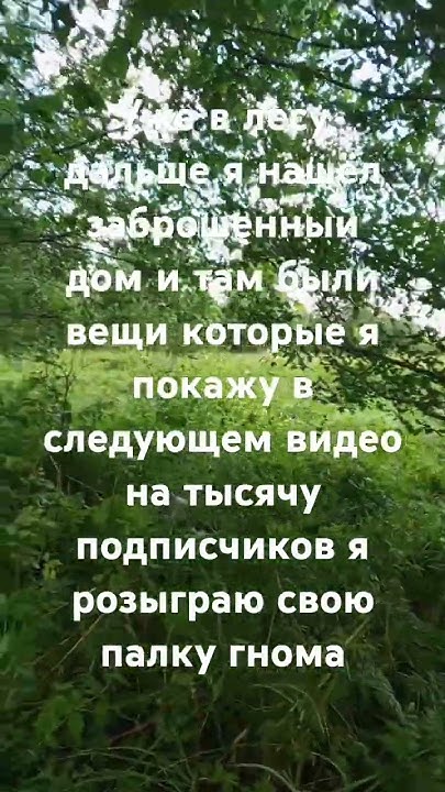 #музыка #гномы #боже #тренд #существа #рыцари #1мировая #ответ #мем # ...
