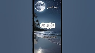 أواخر سورة القصص #تلاوات #اكسبلور #تلاوة #راحة_نفسية #قرآن_كريم #تلاوة_خاشعة #قرآن #إبراهيم_تركستاني
