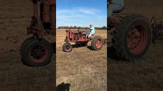 Farmall vs Georgia clay who will win? 👍 Georgia National Antique Agriculture Show #shorts