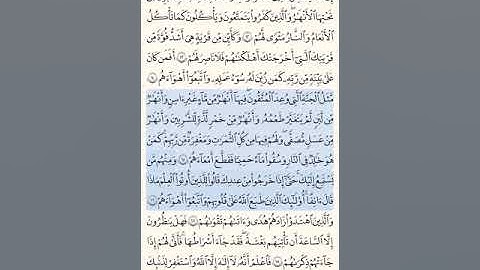 سورة محمد الصفحة الثانية مكررة ٥مرات لتساعدك ع الحفظ