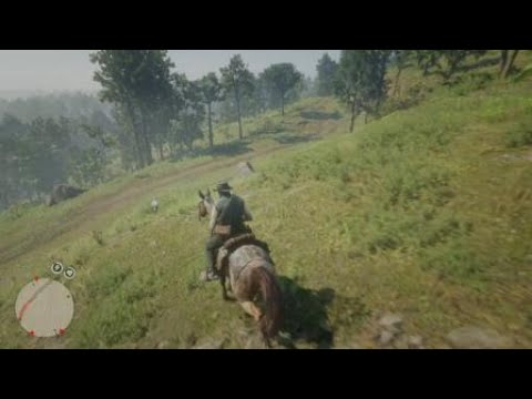 Red Dead Redemption 2_20181205202822