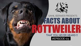 ROTTWEILER : DOG INFORMATION SERIES || Episode_02