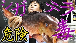 【危険】シガテラ毒魚を食べる【危険】