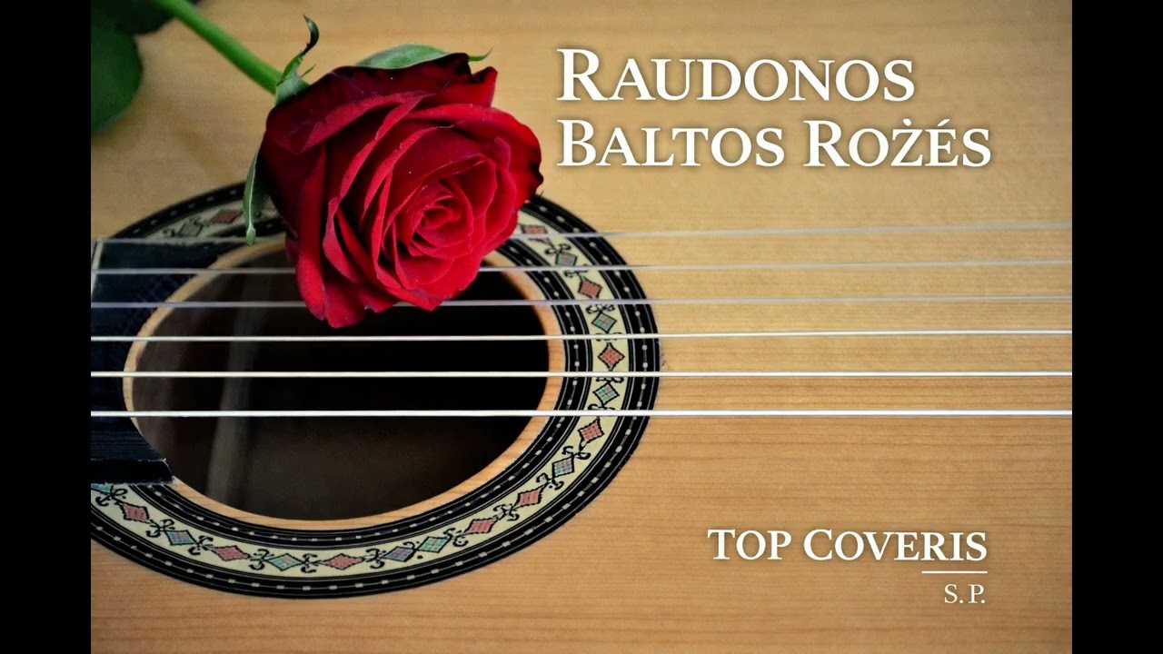 Raudonos baltos rožės TOP COVERIS