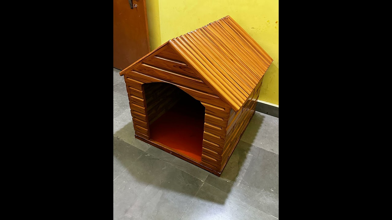 DOG HOUSE 