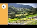 Spur N - Tutorial - Büsche und Sträucher selber herstellen