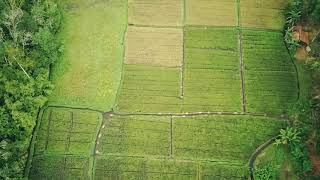 NATURE DRONE FOOTAGE