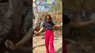 Our Fandom Name Reveal Sushees