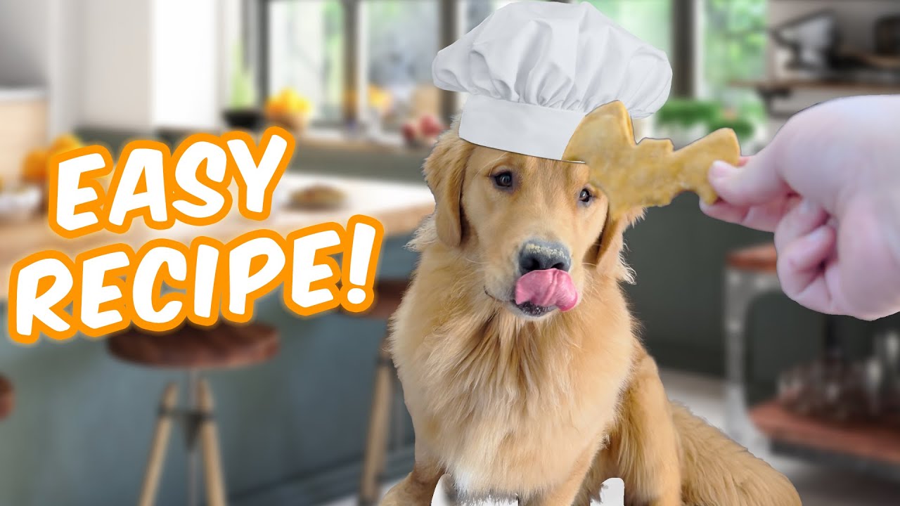 EASY DOG FRIENDLY PUMPKIN TREATS! YouTube