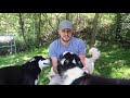 Middle of video