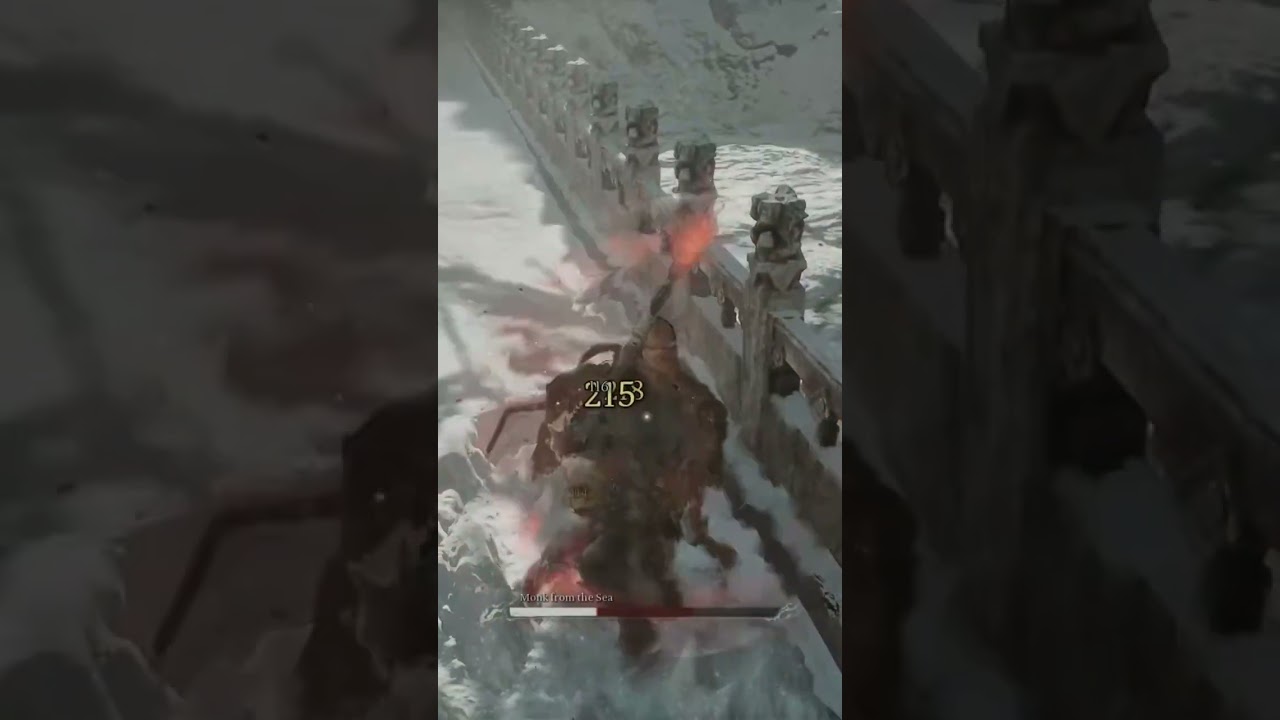 BMW 🔥 MONk FROM THE SEA 💪 Great Sage Challenge 