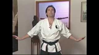 Tai-Chi Yang Style Coiling Set From Master Mark Saia