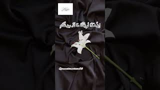 Surah Sad Ayat 5455 shorts quran fatihseferagic