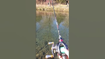 Shimano Curado BFS with Avail Spool can cast tiny nymph fly? 😲 😱 #shorts