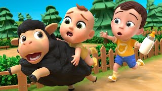 Baba Baba black Seep | New Born baby & Nursery Rhymes Play Buffalo Poem English Kids