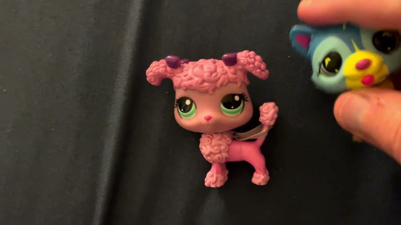 LPS Christmas crush LPS Christmas special 2025 ￼￼