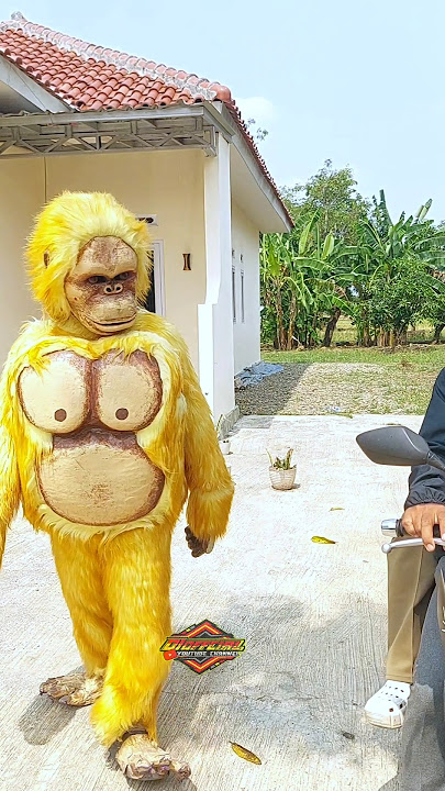 KingKong Berjalan kaki