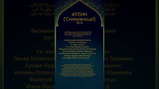 Сура АТ-ТИН