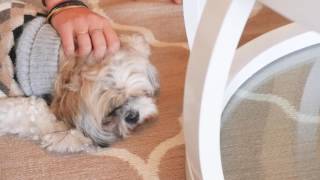 'Cathedral Place' F30 41 Gotha St Fortitude Valley QLD 4006 Australia