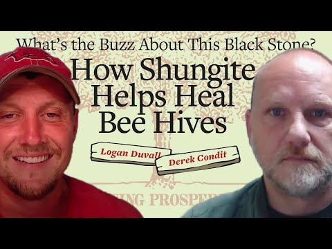 The Healing Power of Shungite | Bees and Frequencies: A New Perspective Derek Condit
