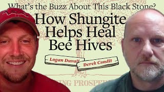 The Healing Power of Shungite | Bees and Frequencies: A New Perspective Derek Condit
