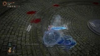 ELDEN RING™ - The Moonnight of Greatknives