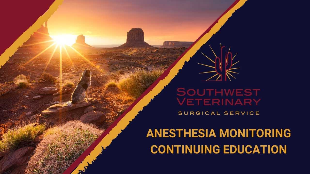 Anesthesia Monitoring