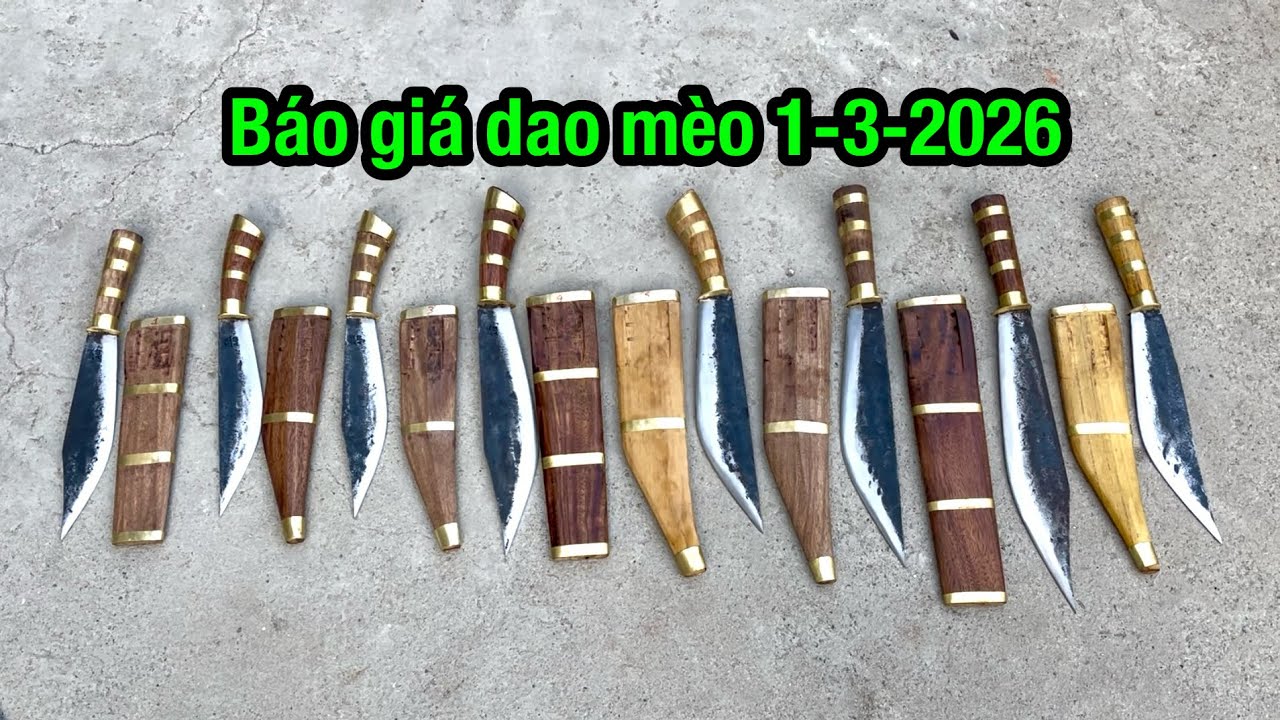 GIỚI THIỆU NHỮNG CÂY DAO MÈO 1/3/2026