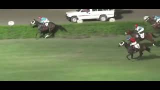 6th Race Winner Lucky Sohna | Ridden By Jockey Safdar Hussain Trained By Aleem ud Din | screenshot 3