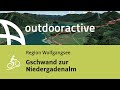 Mountainbike Tour in der Region Wolfgangsee: Gschwand zur Niedergadenalm