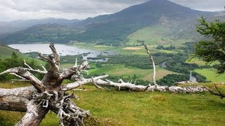 Scotland Takeover - Cape Byron Celtic Dance