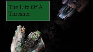 Barotrauma: The Life Of A Thresher
